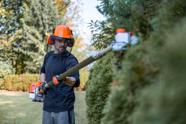 Adult male landscaper wearing protective workwear trimming a hedge with an electrical saw in a New England yard.